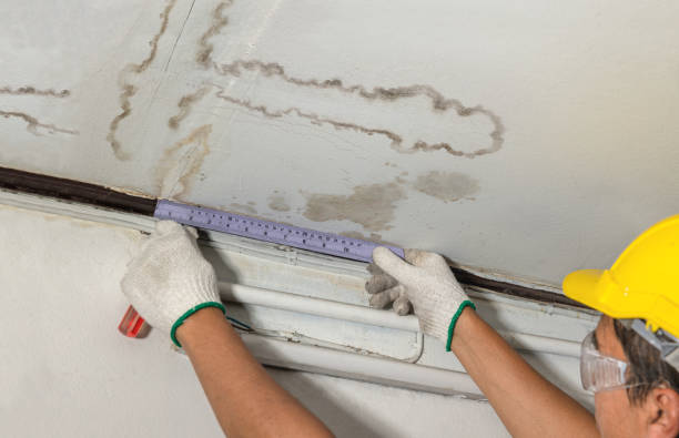 Reliable Mold Remediation contractor in Hesperia, MI by Local Water Damage Repair